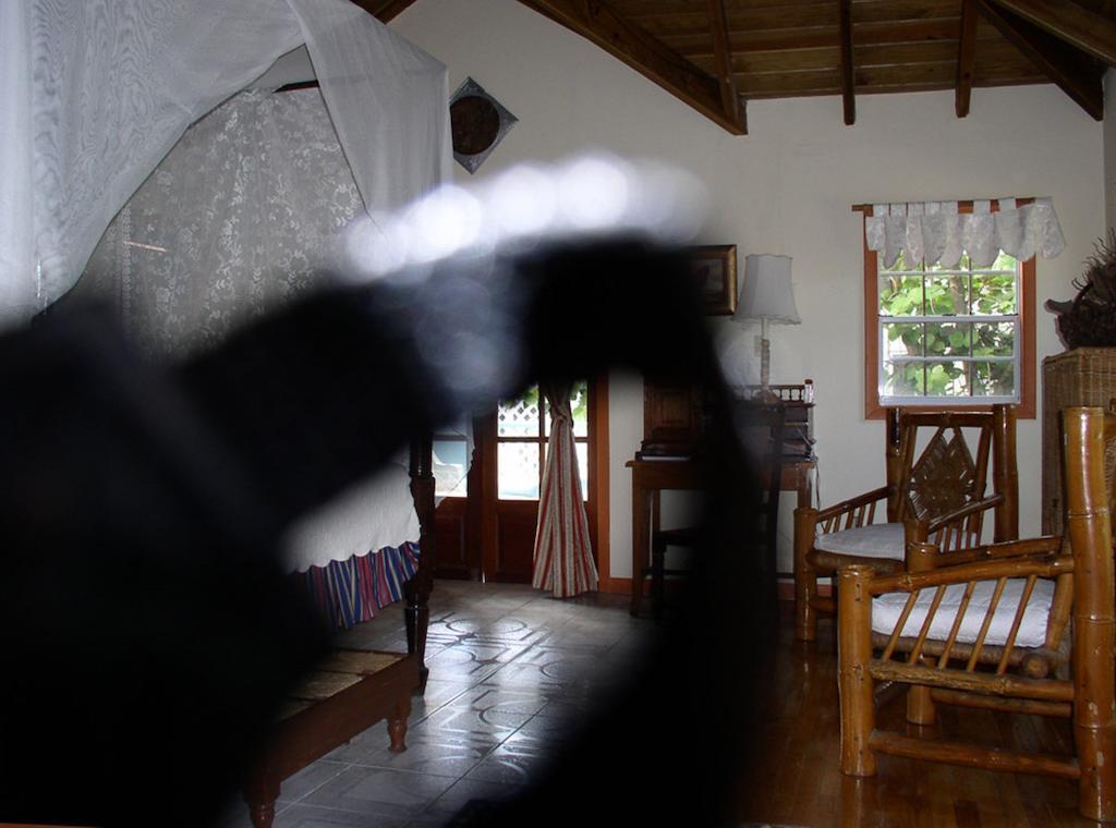פיליפסבורג Pasanggrahan Boutique Hotel מראה חיצוני תמונה